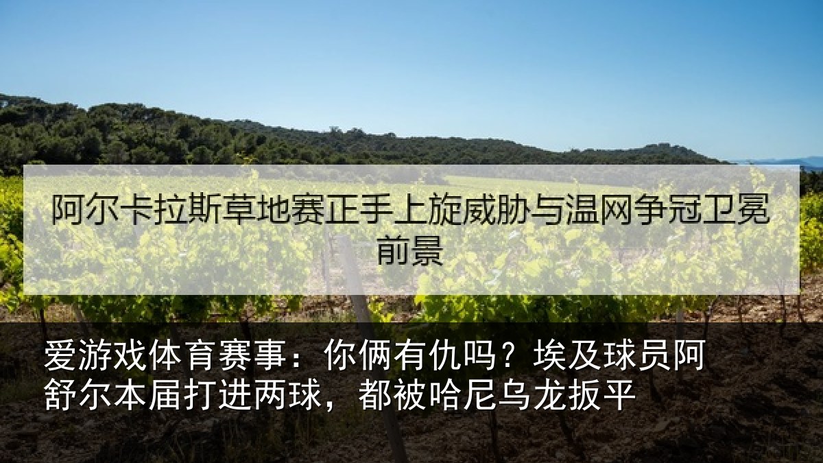 爱游戏体育赛事：你俩有仇吗？埃及球员阿舒尔本届打进两球，都被哈尼乌龙扳平