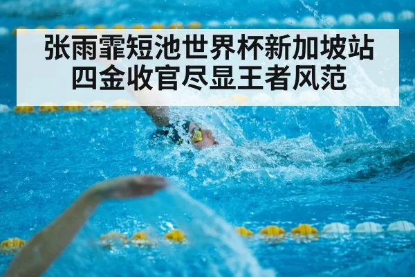张雨霏短池世界杯新加坡站四金收官尽显王者风范